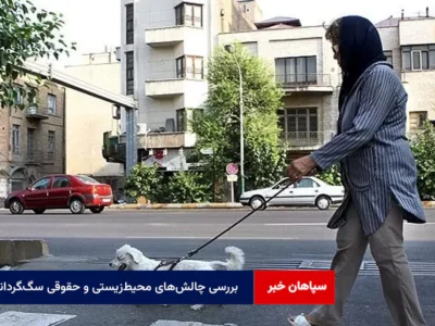 بررسی چالش‌های محیط‌زیستی و حقوقی سگ‌‍گردانی در اصفهان