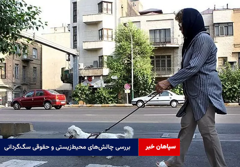 بررسی چالش‌های محیط‌زیستی و حقوقی سگ‌‍گردانی در اصفهان