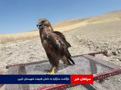بازگشت سارگپه به دامان طبیعت شهرستان نایین