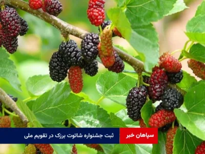 ثبت جشنواره شاتوت برزک در تقویم ملی رویدادهای گردشگری کشور