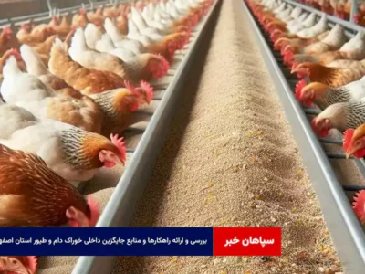 بررسی و ارائه راهکارها و منابع جایگزین داخلی خوراک دام و طیور استان اصفهان