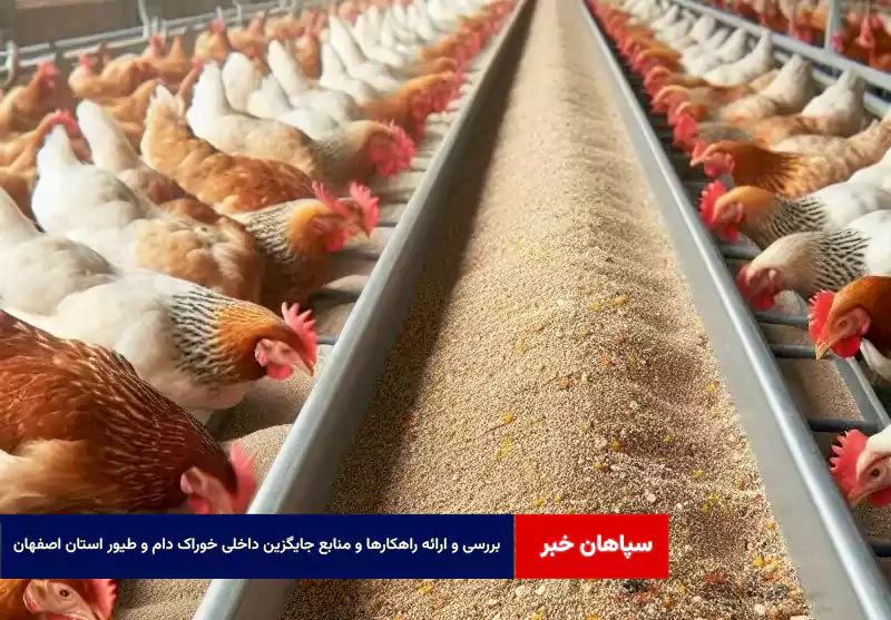 بررسی و ارائه راهکارها و منابع جایگزین داخلی خوراک دام و طیور استان اصفهان