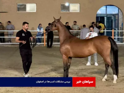بررسی مشکلات اسب‌ها در اصفهان