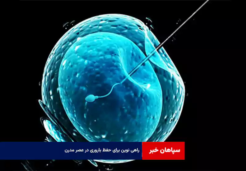 راهی نوین برای حفظ باروری در عصر مدرن