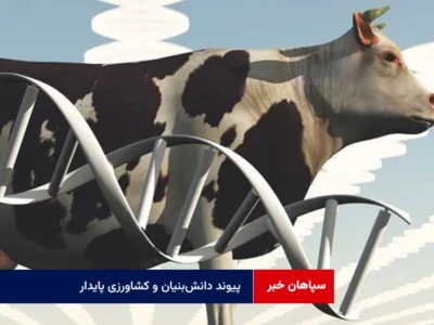 پیوند دانش‌بنیان و کشاورزی پایدار