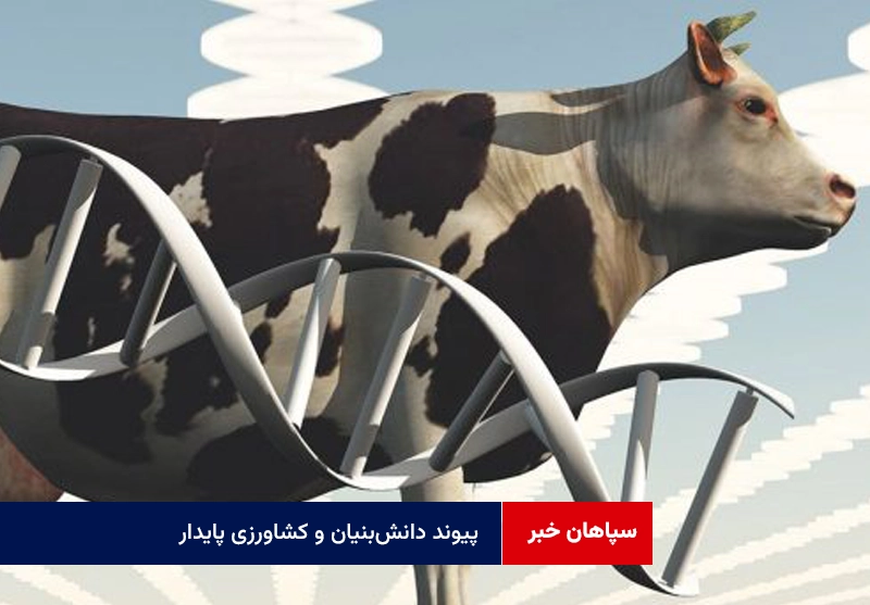پیوند دانش‌بنیان و کشاورزی پایدار