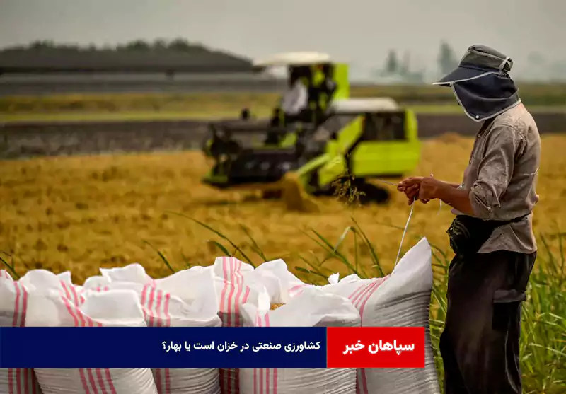 کشاورزی صنعتی در خزان است یا بهار؟