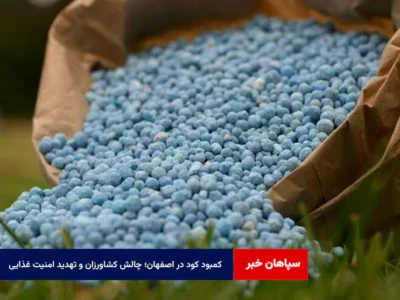 کمبود کود در اصفهان؛ چالش کشاورزان و تهدید امنیت غذایی