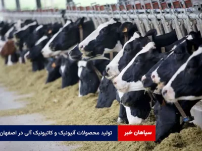 تولید محصولات آنیونیک و کاتیونیک آلی در اصفهان