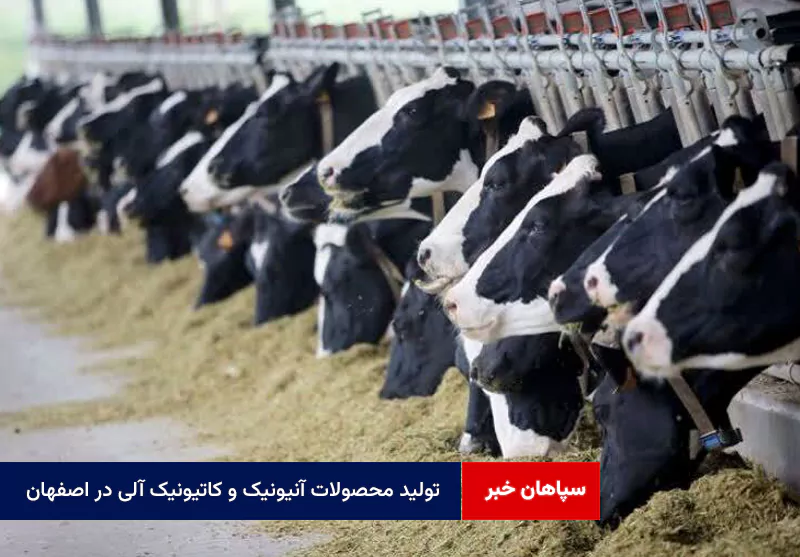 تولید محصولات آنیونیک و کاتیونیک آلی در اصفهان