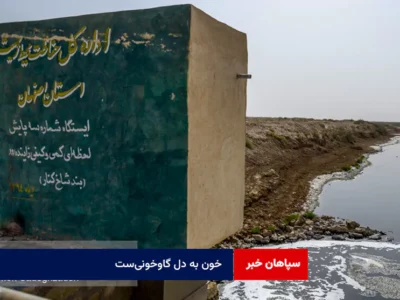 خون به دل گاوخونی‌ست