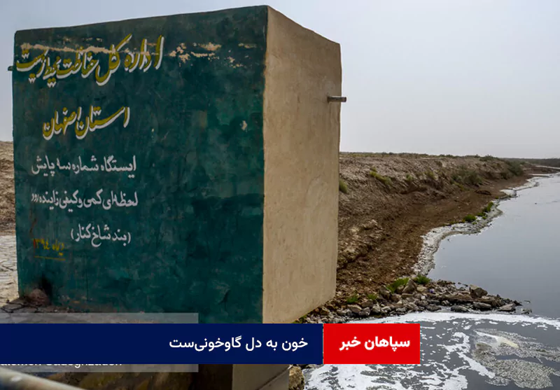 خون به دل گاوخونی‌ست