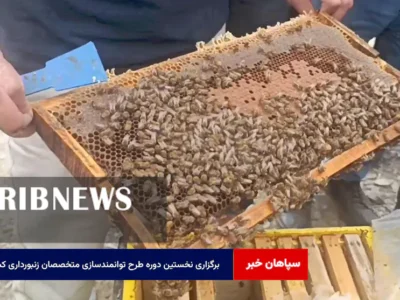 برگزاری نخستین دوره طرح توانمندسازی متخصصان زنبورداری کشور
