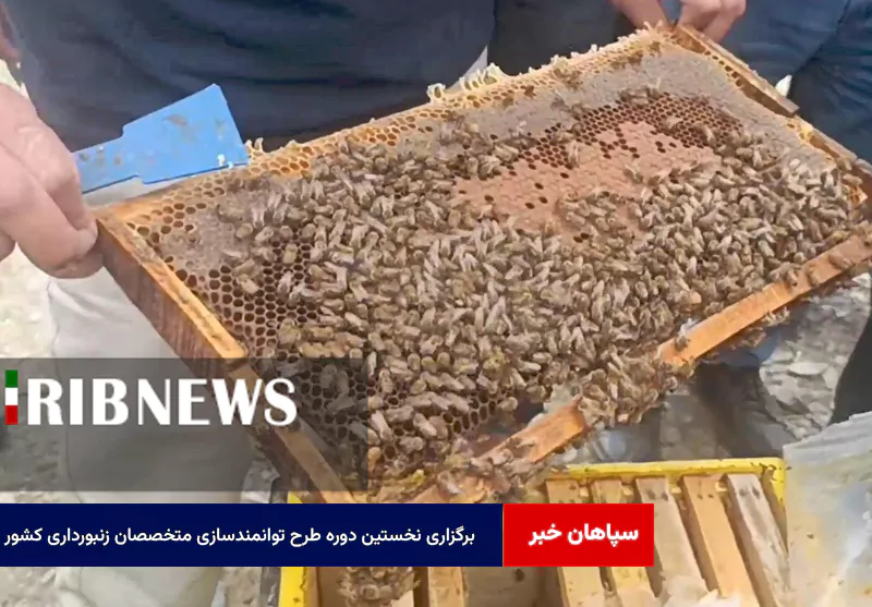 برگزاری نخستین دوره طرح توانمندسازی متخصصان زنبورداری کشور