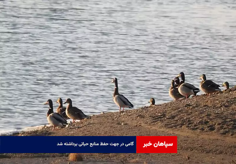 گامی در جهت حفظ منابع حیاتی برداشته شد!