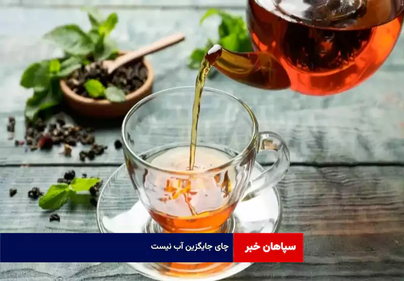 چای جایگزین آب نیست