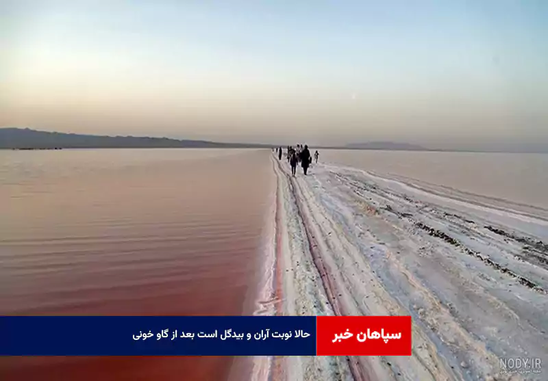 حالا نوبت آران و بیدگل است بعد از گاو خونی!