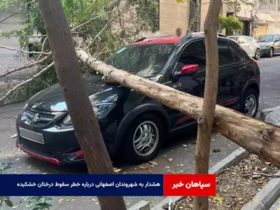 هشدار به شهروندان اصفهانی درباره خطر سقوط درختان خشکیده