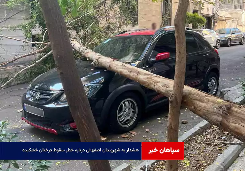 هشدار به شهروندان اصفهانی درباره خطر سقوط درختان خشکیده