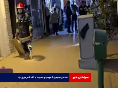 ماده‌ای، مایعی یا موجودی عجیب از کف شهر بیرون زد! + فیلم