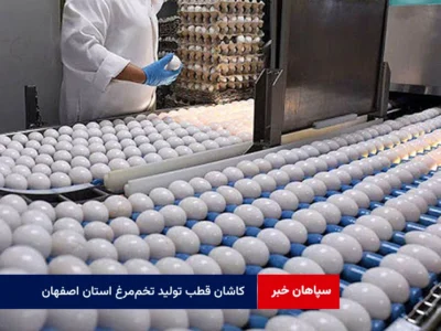 کاشان قطب تولید تخم‌مرغ استان اصفهان