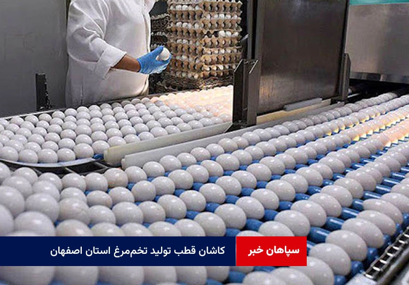 کاشان قطب تولید تخم‌مرغ استان اصفهان