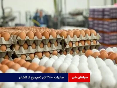 صادرات ۳۲۰۰ تن تخم‌مرغ از کاشان