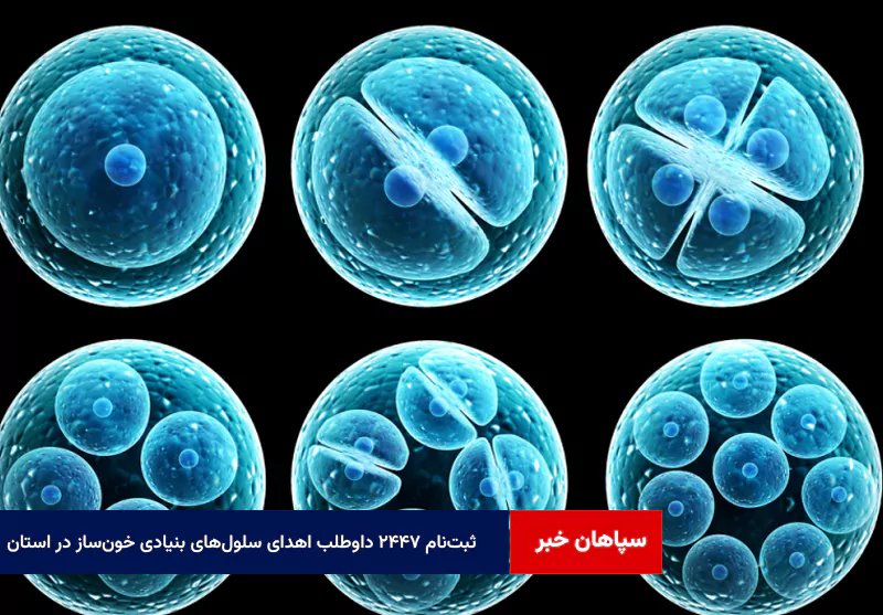 ثبت‌نام ۲۴۴۷ داوطلب اهدای سلول‌های بنیادی خون‌ساز در استان