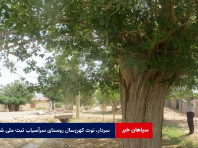 سردار، توت کهن‌سال روستای سرآسیاب ثبت ملی شد