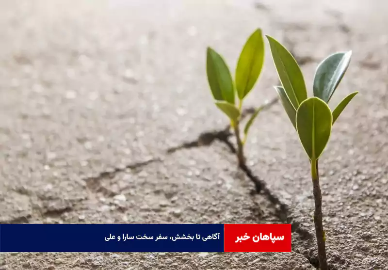 آگاهی تا بخشش، سفر سخت سارا و علی