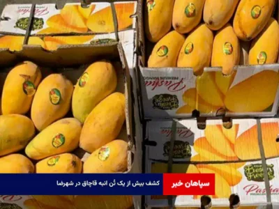 کشف بیش از یک تُن انبه قاچاق در شهرضا