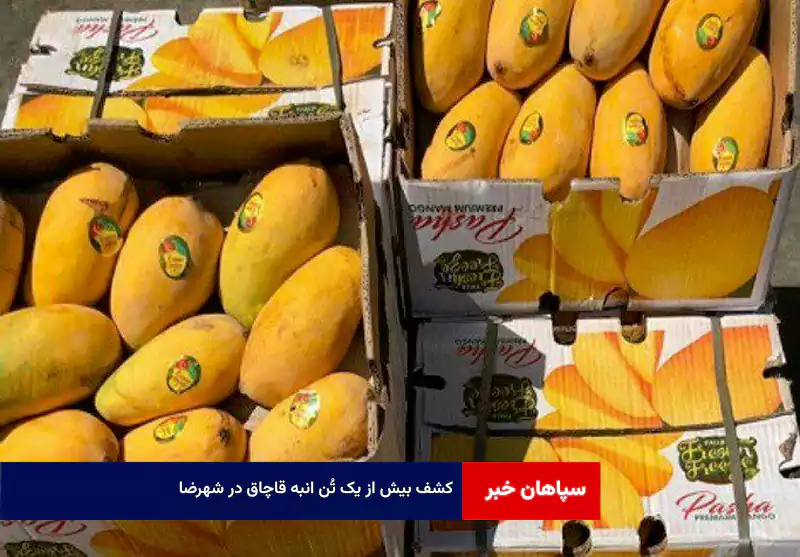 کشف بیش از یک تُن انبه قاچاق در شهرضا