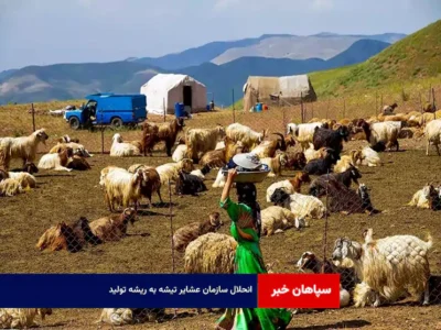 انحلال سازمان عشایر تیشه به ریشه تولید