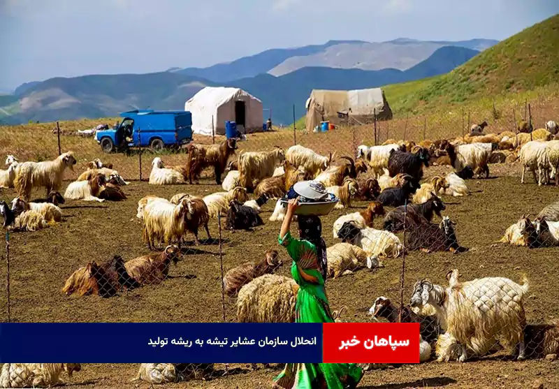 انحلال سازمان عشایر تیشه به ریشه تولید