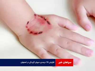 افزایش ۱۰ درصدی حیوان گزیدگی در اصفهان