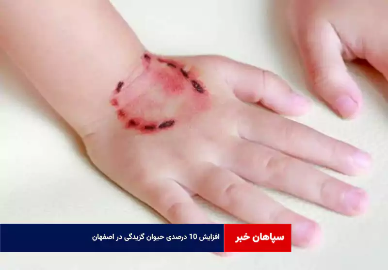 افزایش ۱۰ درصدی حیوان گزیدگی در اصفهان