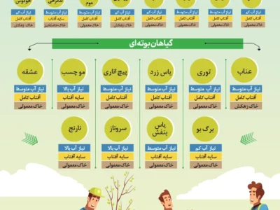 گیاهان مناسب برای باغچه (اینفوگرافیک)