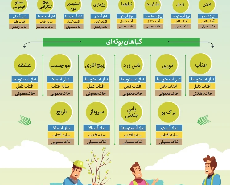 گیاهان مناسب برای باغچه (اینفوگرافیک)