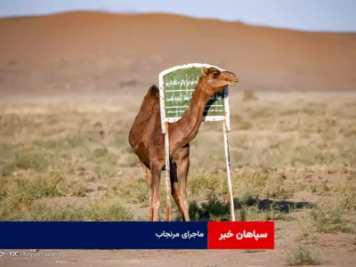 ماجرای مرنجاب