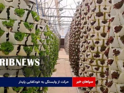 حرکت از وابستگی به خودکفایی پایدار