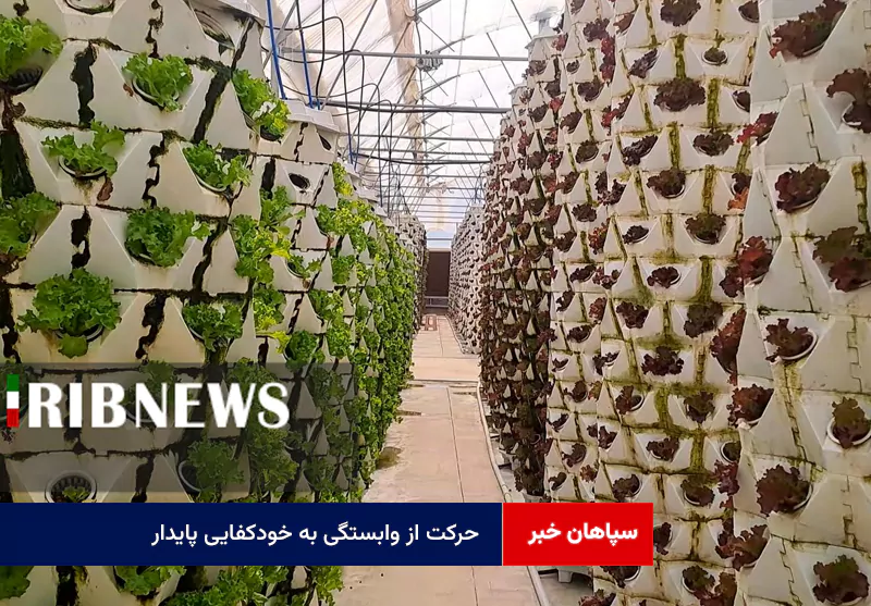 حرکت از وابستگی به خودکفایی پایدار