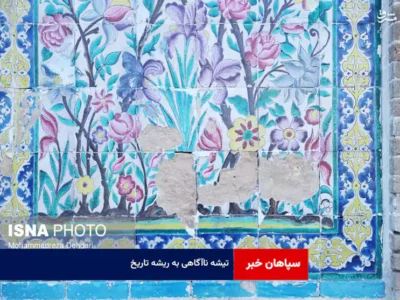 تیشه ناآگاهی به ریشه تاریخ