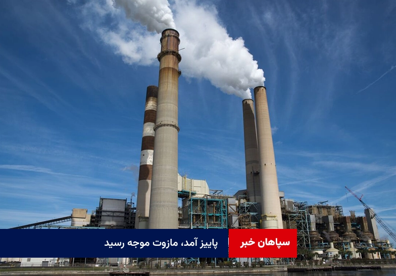 پاییز آمد، مازوت موجه رسید!