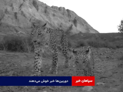 دوربینها خبر خوش میدهند