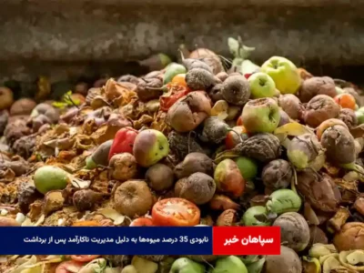 نابودی ۳۵ درصد میوه‌ها به دلیل مدیریت ناکارآمد پس از برداشت