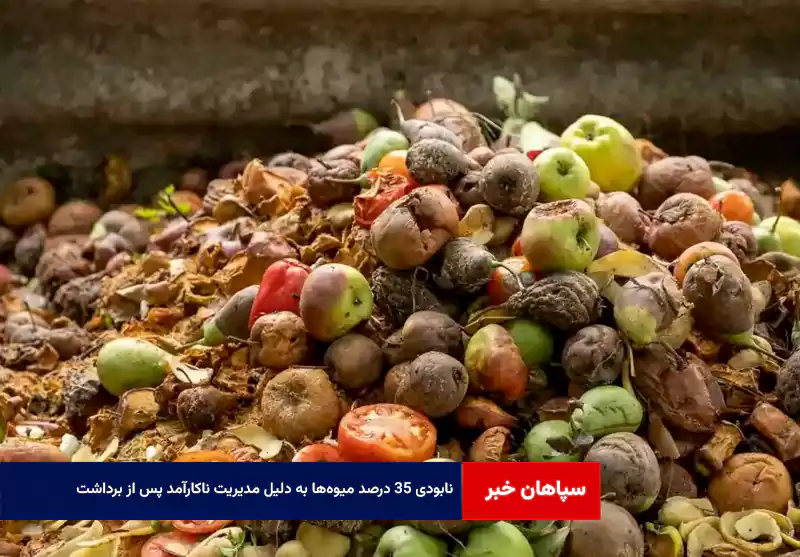 نابودی ۳۵ درصد میوه‌ها به دلیل مدیریت ناکارآمد پس از برداشت
