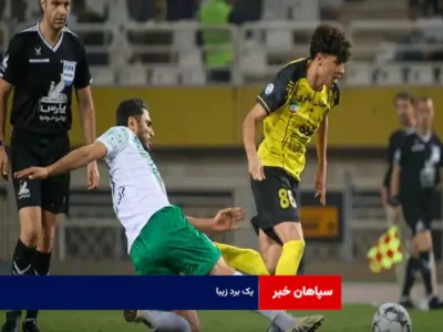 یک برد زیبا