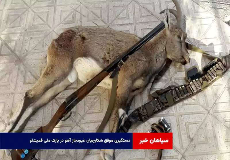 دستگیری موفق شکارچیان غیرمجاز آهو در پارک ملی قمیشلو