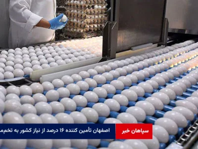 اصفهان تأمین کننده ۱۶ درصد از نیاز کشور به تخم‌مرغ