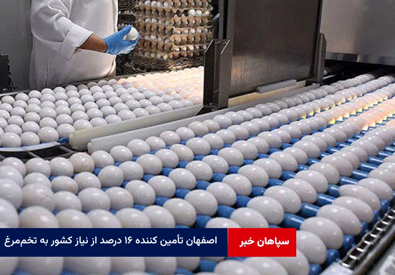 اصفهان تأمین کننده ۱۶ درصد از نیاز کشور به تخم‌مرغ